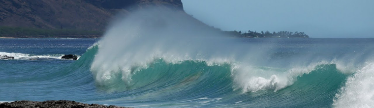 The beauty of my home state, Hawaii, never ceases to amaze me. Yokohama Bay is where the road ends on the Northwest side of the island of Oahu. Although the beauty of the water is inviting, undercurrents make it a dangerous beach to swim. I took this cresting wave with a Panasonic DMC-GF1. Oahu, Hawaii. September 2010. - Laurel Pfund